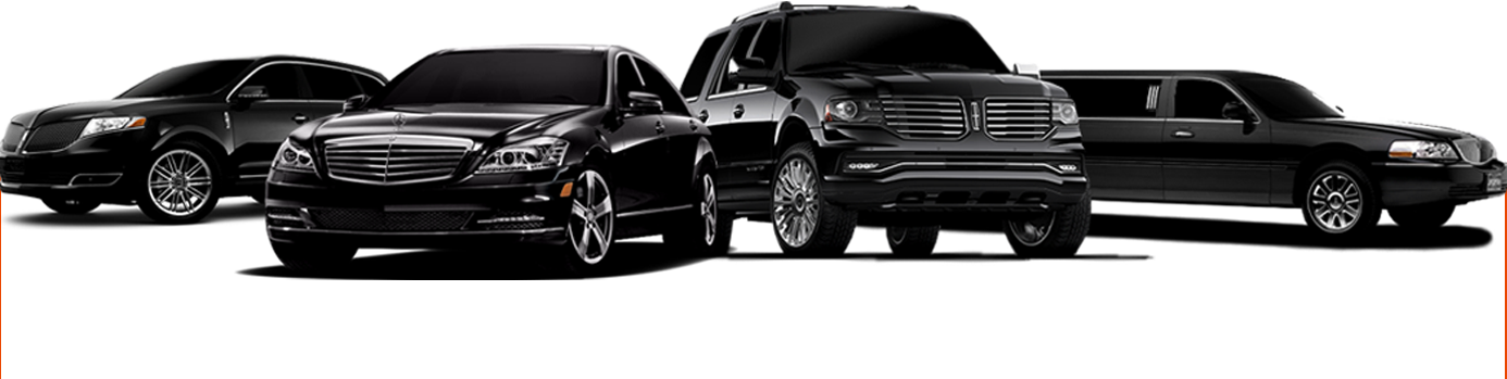Luxury Limo Service